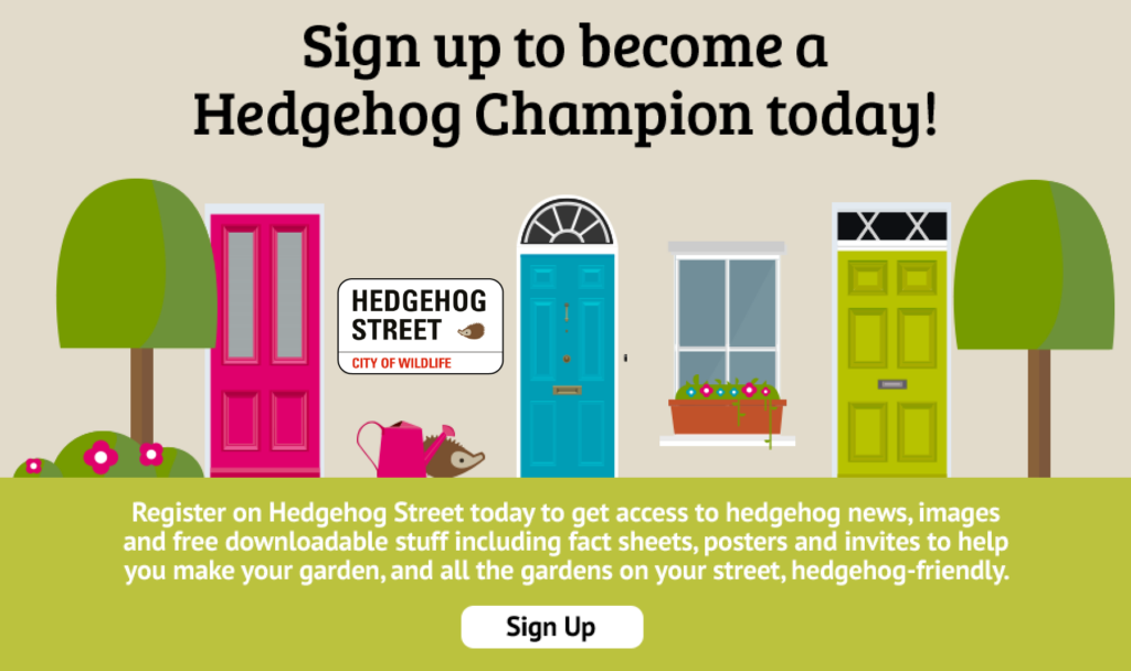 Register on Hedgehog Street today to get access to hedgehog news, images and free downloadable stuff including fact sheets, posters and invites to help you make your garden, and all the gardens on your street hedgehog-friendly.